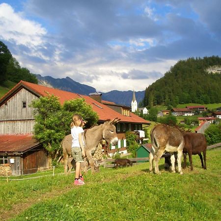 Haus Willi Apartment Oberstdorf Exterior foto