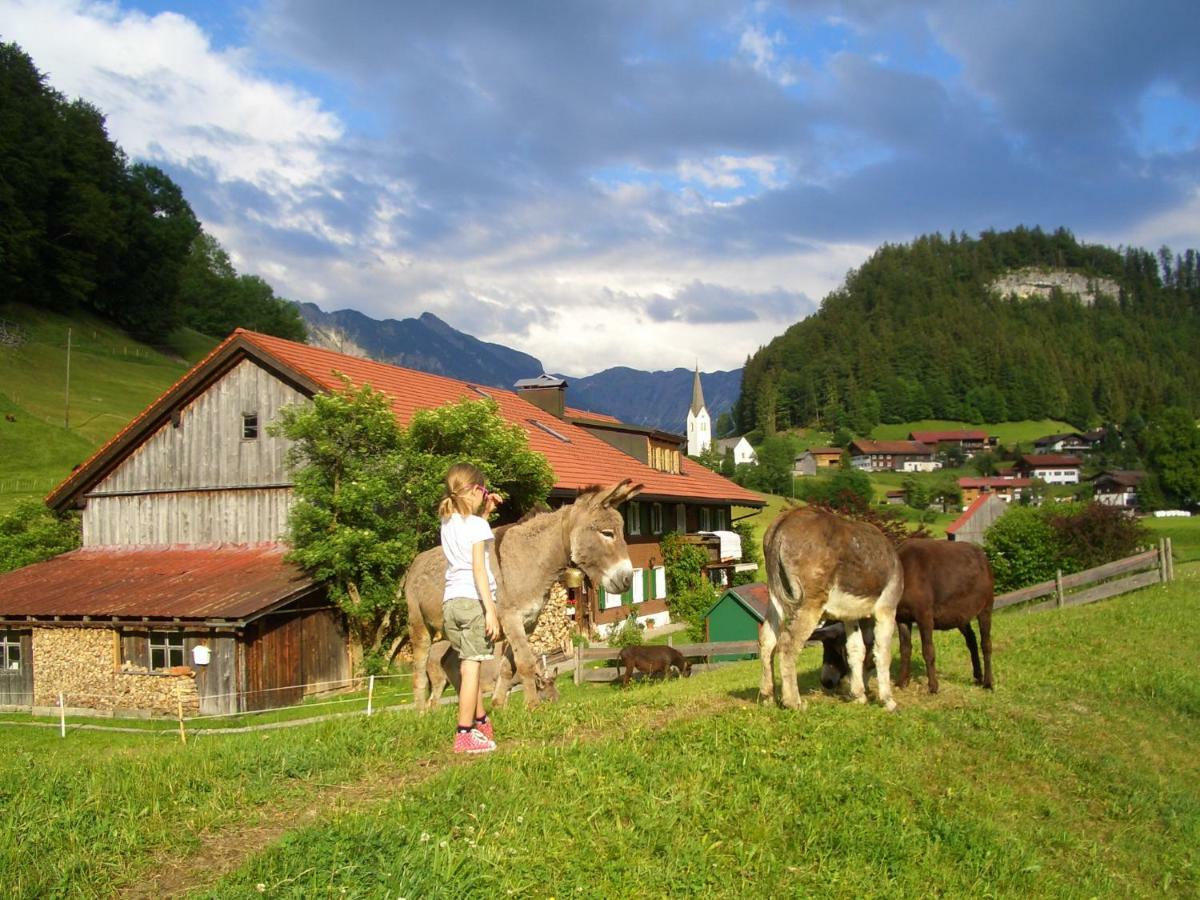 Haus Willi Apartment Oberstdorf Exterior foto
